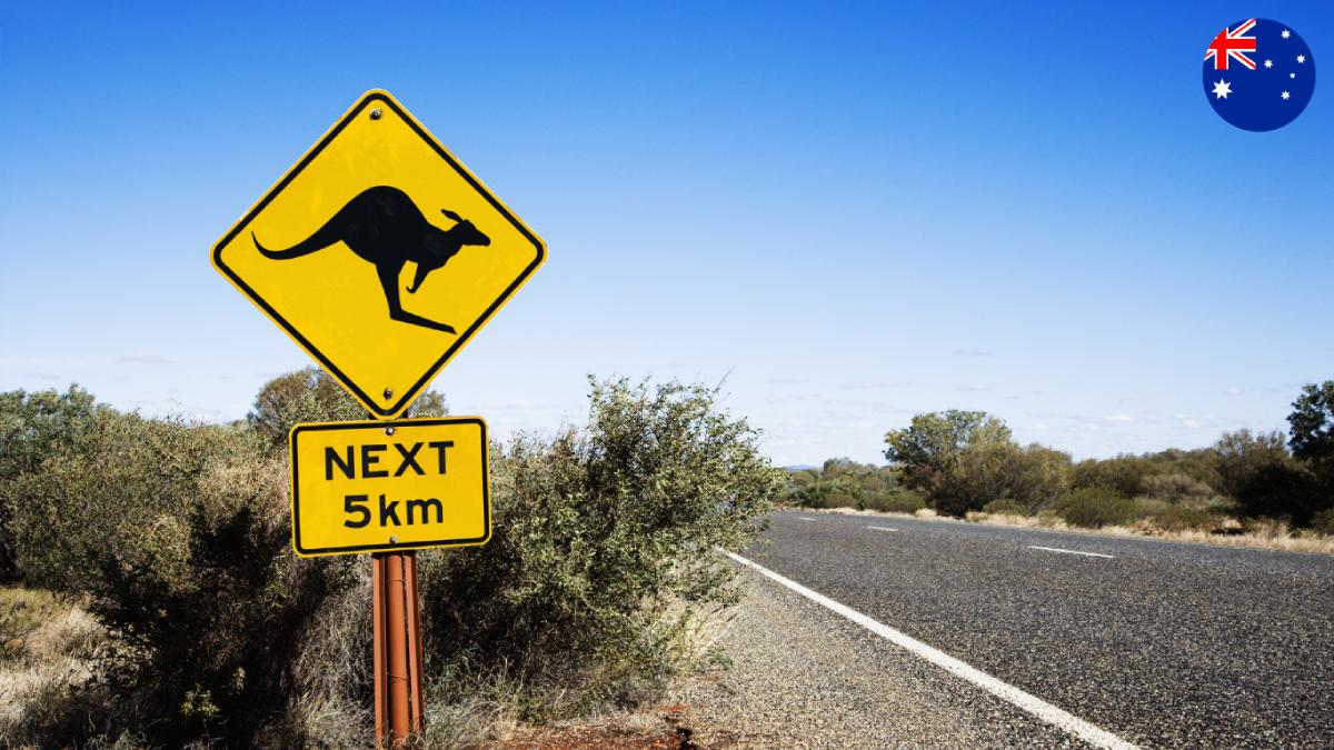 Australian road sign shows kangaroo zone