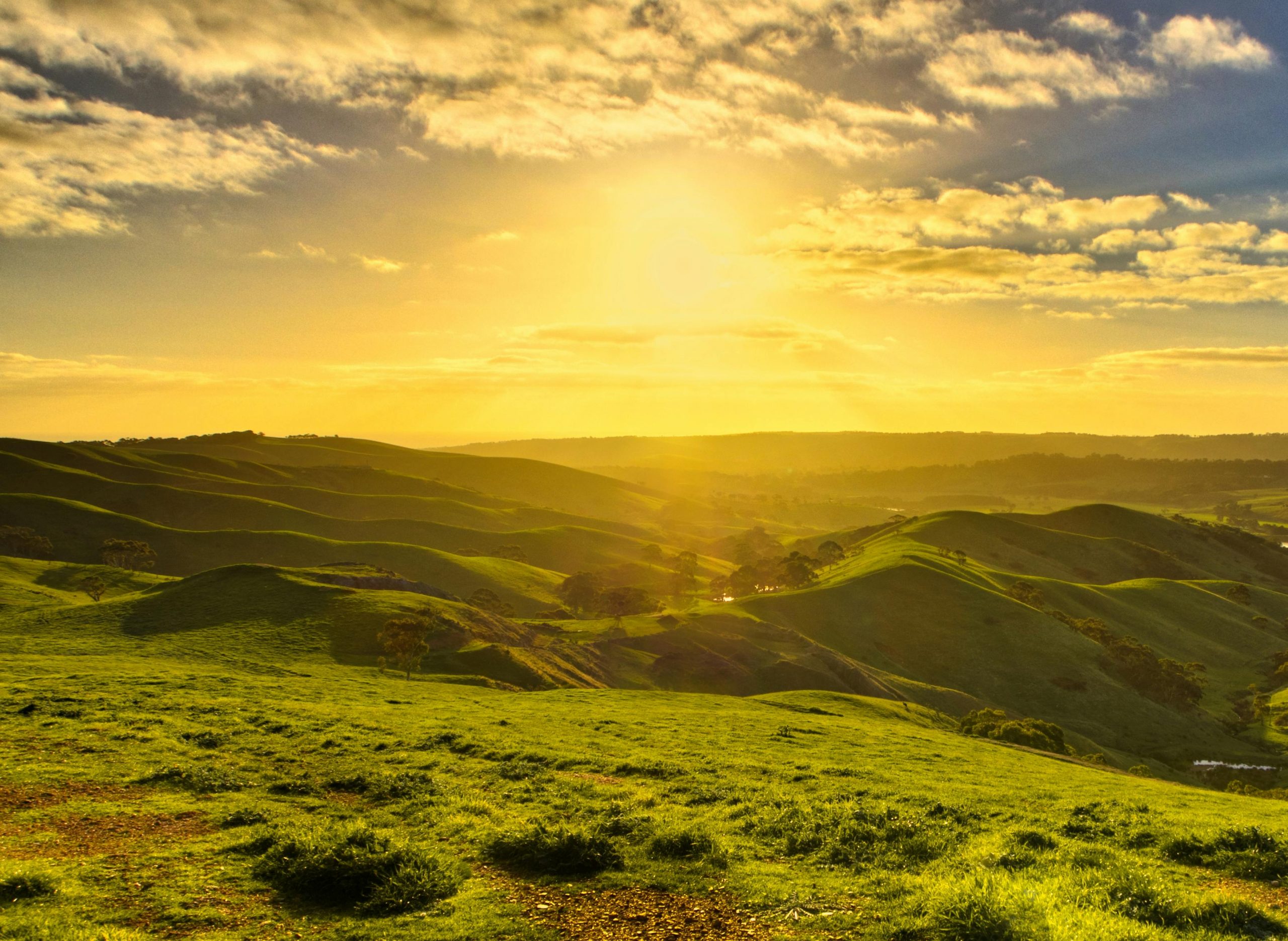 South Australia: One of the easiest Australian states for immigration in 2026